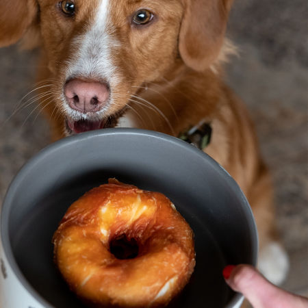 Przysmak dla psa Starsnack Chicken Donut S Nobby 2kg (ok.80szt.)- donut z kurczakiem rozmiar S (5cm) - Nobby zdjęcie 3